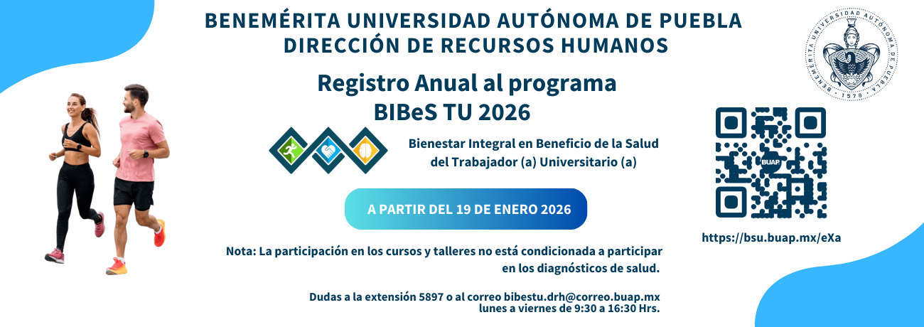 registro anual BIBeS TU